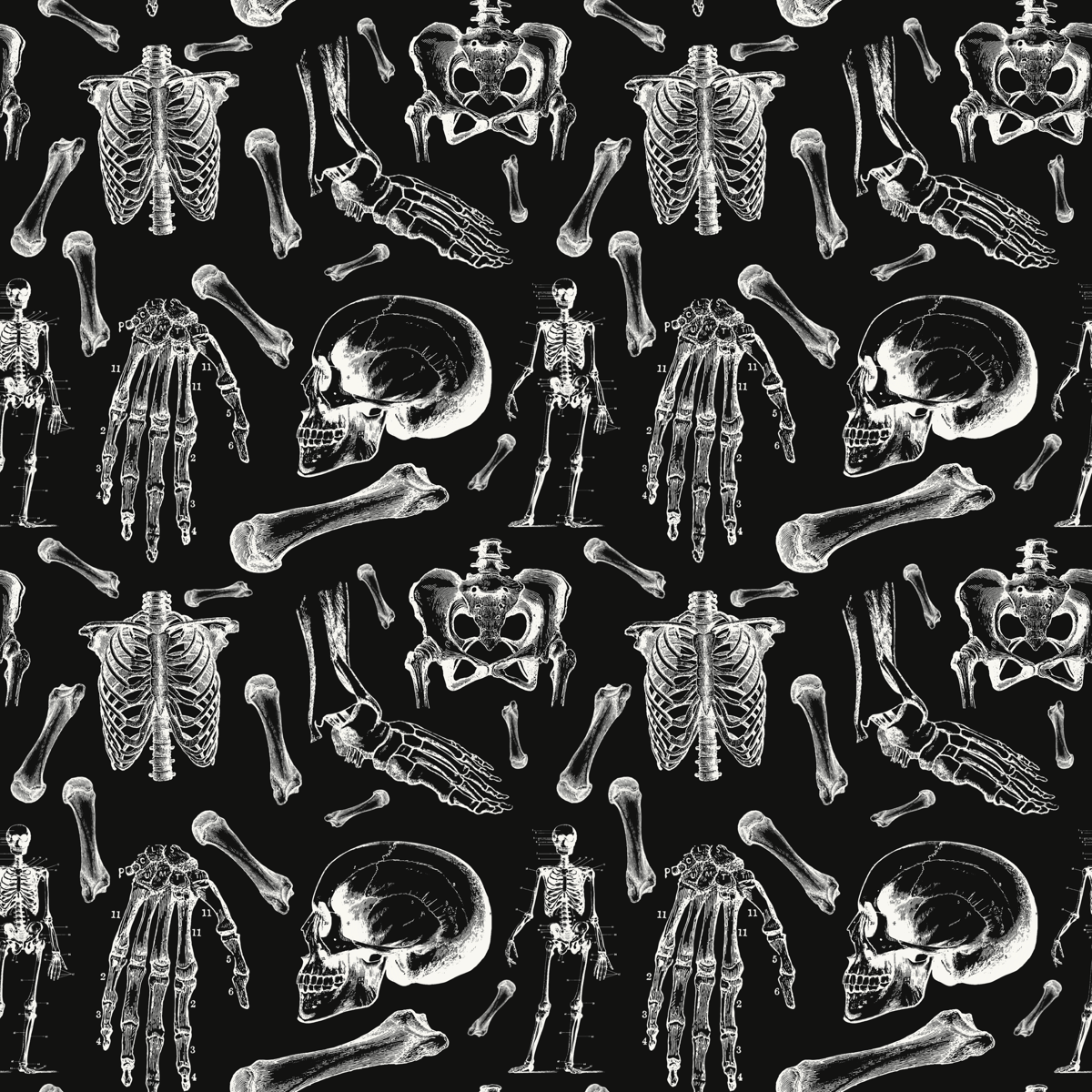 Anatomy White On Black Pattern – The Gothic Stationery Company